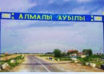 ТҮРКІСТАН ОБЛЫСЫНДА АЛКОГОЛЬДІ ІШІМДІК САТЫЛМАЙТЫН АУЫЛДА СОҢҒЫ 5 ЖЫЛДА БІРДЕ-БІР ҚЫЛМЫС ТІРКЕЛМЕГЕН