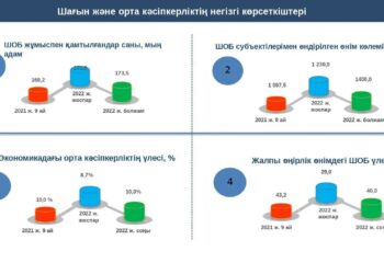 ЖАЛПЫ ӨҢІРЛІК ӨНІМДЕГІ ШАҒЫН ЖӘНЕ ОРТА БИЗНЕСТІҢ ҮЛЕСІ 43 ПАЙЫЗДЫ ҚҰРАЙДЫ