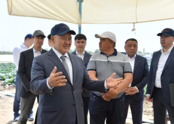 ТҮРКІСТАН ОБЛЫСЫНЫҢ ШАРУАЛАРЫ 1 ГЕКТАР ҚЫРЫҚҚАБАТТАН 10 МИЛЛИОН ТЕҢГЕ ТАБЫС ТАБАДЫ