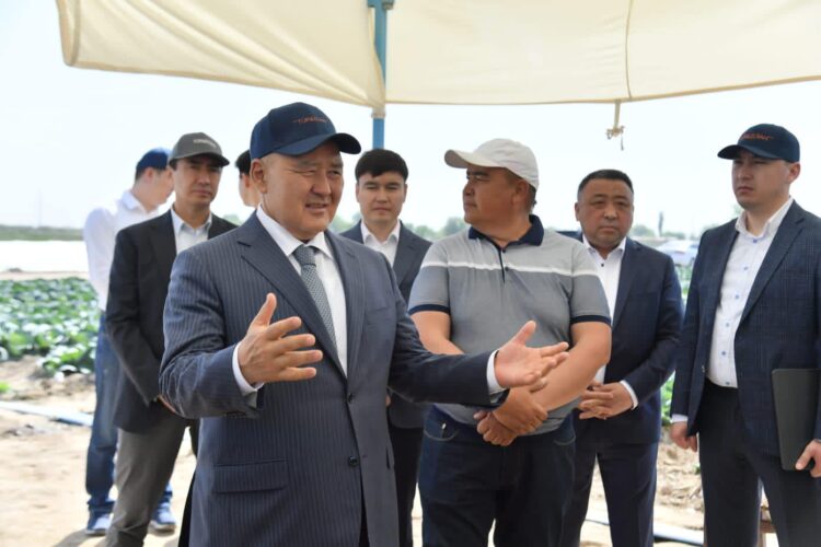 ТҮРКІСТАН ОБЛЫСЫНЫҢ ШАРУАЛАРЫ 1 ГЕКТАР ҚЫРЫҚҚАБАТТАН 10 МИЛЛИОН ТЕҢГЕ ТАБЫС ТАБАДЫ