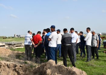 Ordabasy: Ортақ жайылым мәселесі бойынша жұмысшы топ түсіндіру жұмыстарын жүргізуде