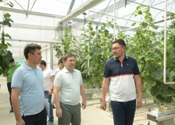 ҚАЛА ӘКІМІ АУЫЛШАРУАШЫЛЫҚ НЫСАНДАРЫН АРАЛАДЫ