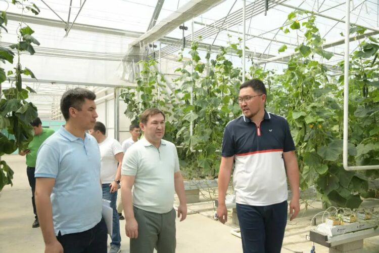 ҚАЛА ӘКІМІ АУЫЛШАРУАШЫЛЫҚ НЫСАНДАРЫН АРАЛАДЫ