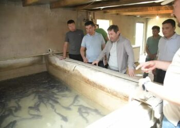 ҚАЛА ӘКІМІ БАЛЫҚ ШАРУАШЫЛЫҒЫНЫҢ ЖҰМЫСЫМЕН ТАНЫСТЫ