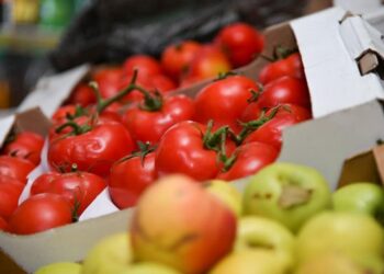 ТҮРКІСТАН: «ЭКОБАЗАРДА» ЖӘРМЕҢКЕ ӨТТІ