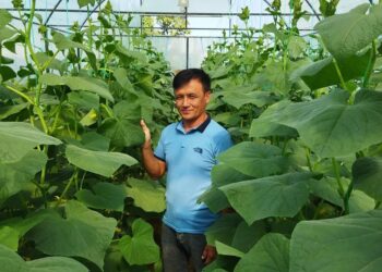 Ordabasy: Жас кәсіпкер тұрғындарды референдумға қатысуға шақырады