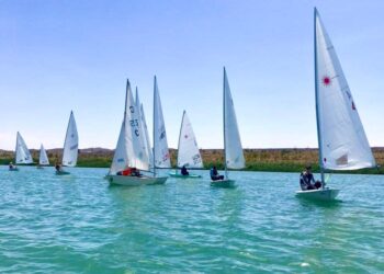 ТҮРКІСТАН ОБЛЫСЫНЫҢ СПОРТШЫЛАРЫ ӨЗБЕКСТАННЫҢ АШЫҚ ЧЕМПИОНАТЫНДА БІРІНШІ ОРЫНҒА ИЕ БОЛДЫ