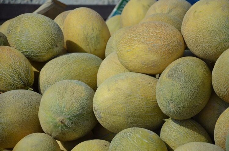 ТҮРКІСТАН: ЖЕТІСАЙДЫҢ ҚАУЫНДАРЫ РЕСЕЙГЕ НАРЫҒЫНА ЖОЛ ТАРТТЫ