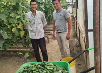 Ordabasy: Жас кәсіпкер замандастарын еңбектенуге шақырды