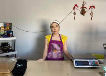 Ordabasy: Кондитерлік дүкен ашып, табысын еселеуде