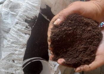 Кәсібі бардың-нәсібі бар