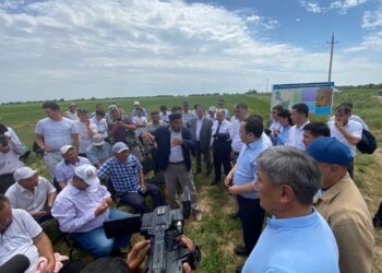 ТҮРКІСТАН ОБЛЫСЫНДА 17 МЫҢ ГЕКТАР ЖАЙЫЛЫМ ҚАЙТАРЫЛДЫ