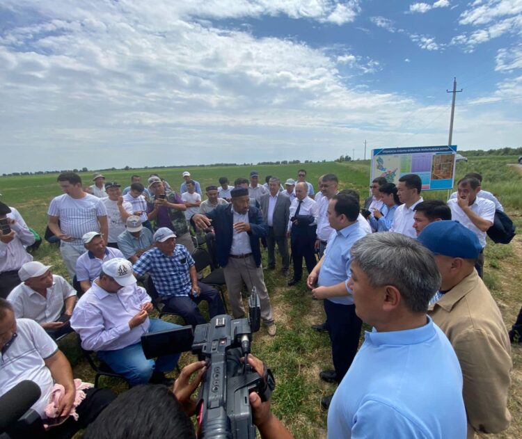 ТҮРКІСТАН ОБЛЫСЫНДА 17 МЫҢ ГЕКТАР ЖАЙЫЛЫМ ҚАЙТАРЫЛДЫ