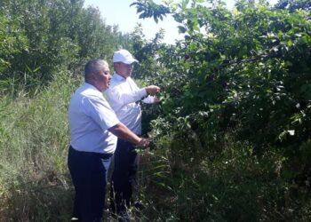 Еңбек етсең ерінбей…