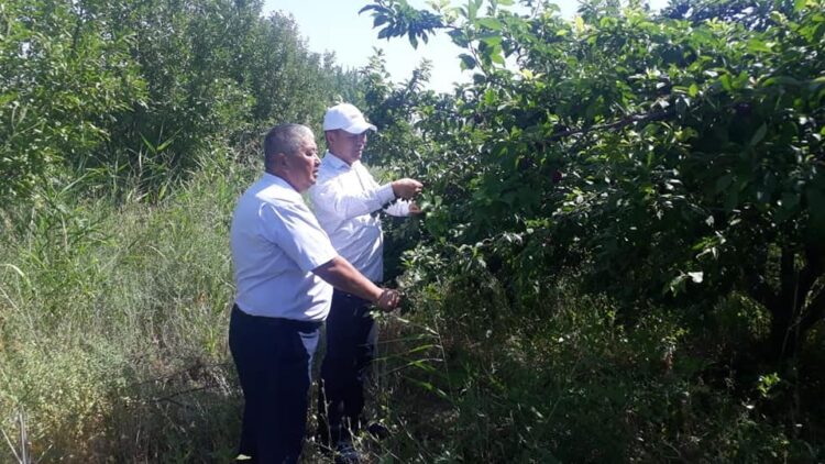 Еңбек етсең ерінбей…