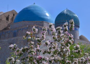 ТҮРКІСТАНҒА КЕЛУШІ ШЕТЕЛ ТУРИСТЕРІНІҢ САНЫ АРТТЫ