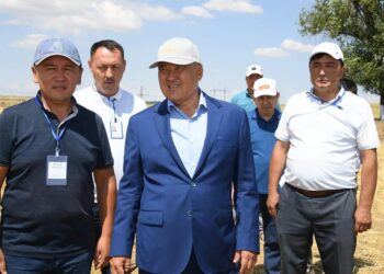 ТҮРКІСТАН ОБЛЫСЫНДА АСТЫҚ ОРУ НАУҚАНЫ АЯҚТАЛУҒА ЖАҚЫН