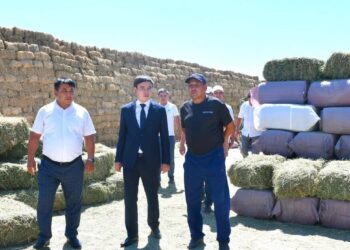 Ordabasy: Аудан әкімінің жолсыз ауылға жолы түсті