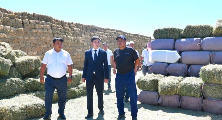 Ordabasy: Аудан әкімінің жолсыз ауылға жолы түсті