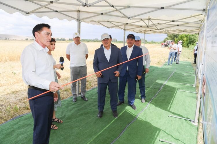 ТҮРКІСТАН: БИЫЛ ТҮЛКІБАСТА 3 МЕКТЕП ПАЙДАЛАНУҒА БЕРІЛЕДІ