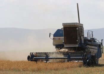 МАҚСАРЫ ОРУ НАУҚАНЫ БАСТАЛДЫ