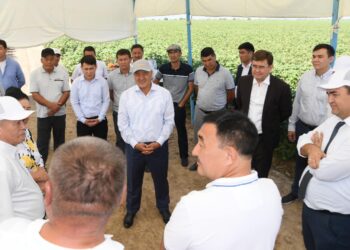 ТҮРКІСТАН: ЖЕТІСАЙДЫҢ ИНФРАҚҰРЫЛЫМЫ ЖАҚСАРЫП КЕЛЕДІ