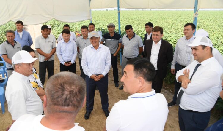 ТҮРКІСТАН: ЖЕТІСАЙДЫҢ ИНФРАҚҰРЫЛЫМЫ ЖАҚСАРЫП КЕЛЕДІ