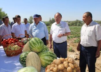 ТҮРКІСТАН: ҚР ПАРЛАМЕНТІНІҢ СЕНАТ ДЕПУТАТТАРЫ ШАРУАЛАРМЕН КЕЗДЕСТІ