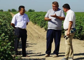 ӨНІМ КӨЛЕМІН АРТТЫРУДА ЖАҢА ТЕХНОЛОГИЯНЫ ПАЙДАЛАНУДЫҢ МАҢЫЗЫ ЗОР