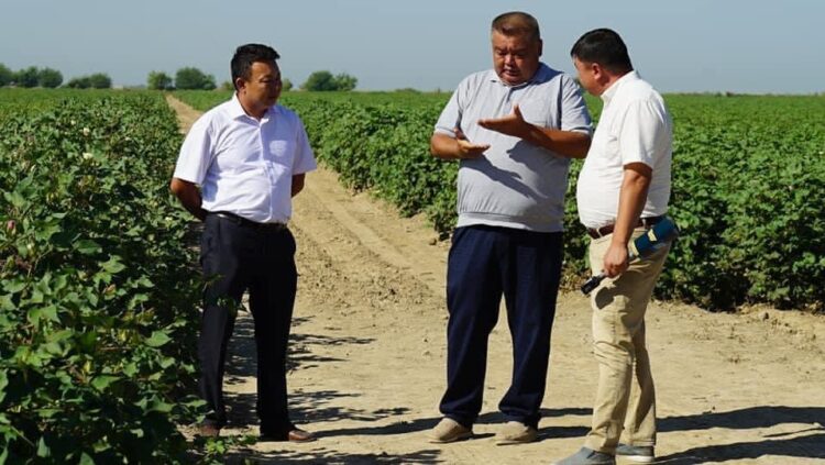 ӨНІМ КӨЛЕМІН АРТТЫРУДА ЖАҢА ТЕХНОЛОГИЯНЫ ПАЙДАЛАНУДЫҢ МАҢЫЗЫ ЗОР