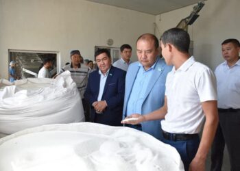 ТҮРКІСТАН: МӘЖІЛІС ДЕПУТАТЫ СОЗАҚТЫҚТАРМЕН КЕЗДЕСТІ