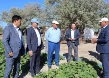 МӘЖІЛІС ДЕПУТАТТАРЫНЫҢ ТҮРКІСТАН ӨҢІРІНДЕГІ САПАРЫ ЖАЛҒАСЫП ЖАТЫР