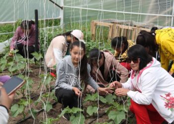 ТҮРКІСТАН ОБЛЫСЫНДА «ЖАСЫЛ ҚАЗАҚСТАН» ЖОБАСЫ АЯСЫНДА МЕКТЕПТЕРДЕГІ ЖЫЛЫЖАЙЛАР САНЫ 300-ГЕ ЖЕТКІЗІЛЕДІ