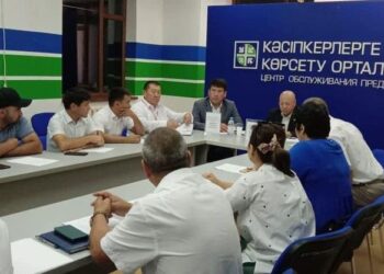 ТҮРКІСТАН ОБЛЫСЫНДА КӘСІПКЕРЛЕРДІҢ САНЫ 160 МЫҢҒА ЖЕТТІ
