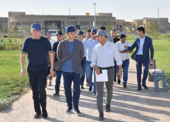 ДАРХАН САТЫБАЛДЫ: ТЕМПЫ СТРОИТЕЛЬСТВА В ТУРКЕСТАНЕ НЕ СНИЗЯТСЯ