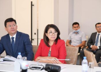 ТҮРКІСТАН: Д.САТЫБАЛДЫ ЖҰМЫССЫЗДЫҚ МӘСЕЛЕСІН ШЕШУДІҢ ЖОЛДАРЫН НАҚТЫЛАДЫ