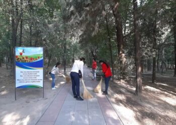 ШЫМКЕНТТЕ ЖАЛПЫҚАЛАЛЫҚ СЕНБІЛІК ӨТУДЕ