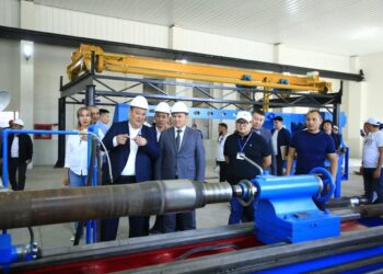 ТҮРКІСТАН: АРЫСТА ТАҒЫ БІР ЖАҢА ШЕБЕРХАНА АШЫЛДЫ