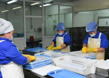 ТҮРКІСТАН ОБЛЫСЫНДА ӨНЕРКӘСІП ӨНІМІНІҢ КӨЛЕСІ 534 МЛРД.ТЕҢГЕНІ ҚҰРАДЫ