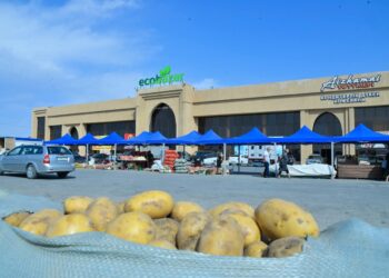 ТҮРКІСТАН: «ЭКОБАЗАРДАҒЫ»  ЖӘРМЕҢКЕДЕ АЗЫҚ-ТҮЛІК АРЗАН БАҒАДА САТЫЛЫП ЖАТЫР