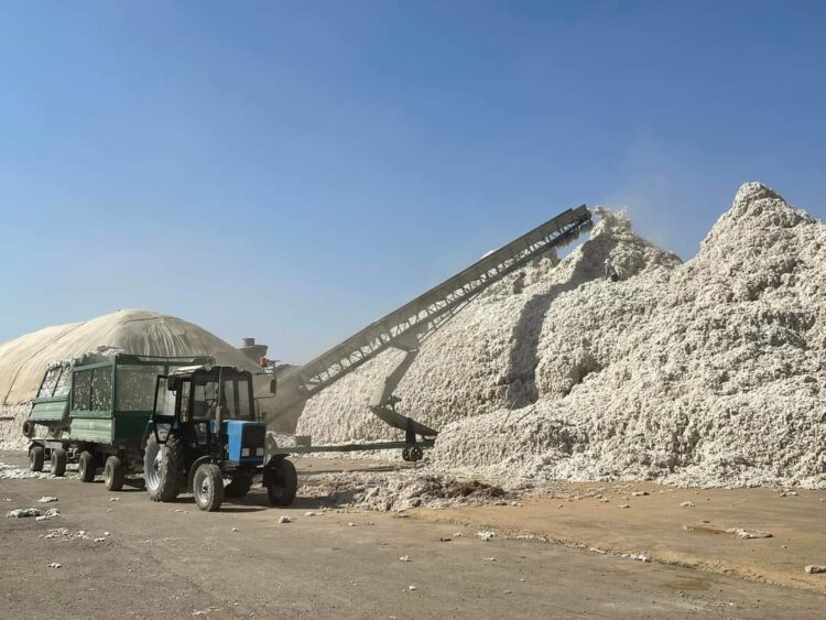 ОРДАБАСЫ АУДАНЫНДА 7122 ГЕКТАР АЛҚАПҚА МАҚТА ЕГІЛДІ