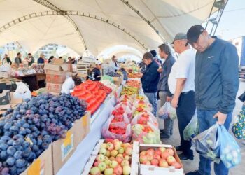 САРЫАҒАШ АУДАНЫНЫҢ ӨНІМДЕРІ САУДАЛАНУДА