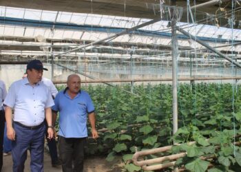 ТӨЛЕБИ АУДАНЫНЫҢ ӘКІМІ ШАРУАШЫЛЫҚ НЫСАНДАРЫН АРАЛАДЫ