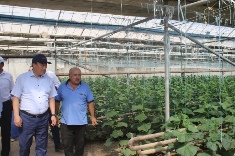 ТӨЛЕБИ АУДАНЫНЫҢ ӘКІМІ ШАРУАШЫЛЫҚ НЫСАНДАРЫН АРАЛАДЫ