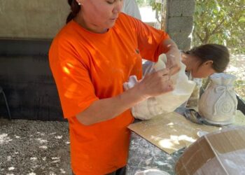 ОРДАБАСЫЛЫҚ ГҮЛШАТ ЕРЕКШЕ КӘСІП БАСТАДЫ