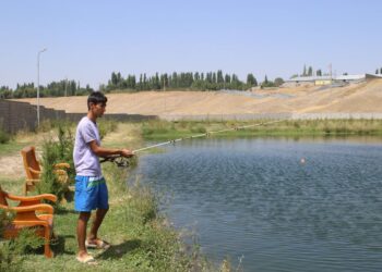 БАЛЫҚ ШАРУАШЫЛЫҒЫН ДАМЫТУДА