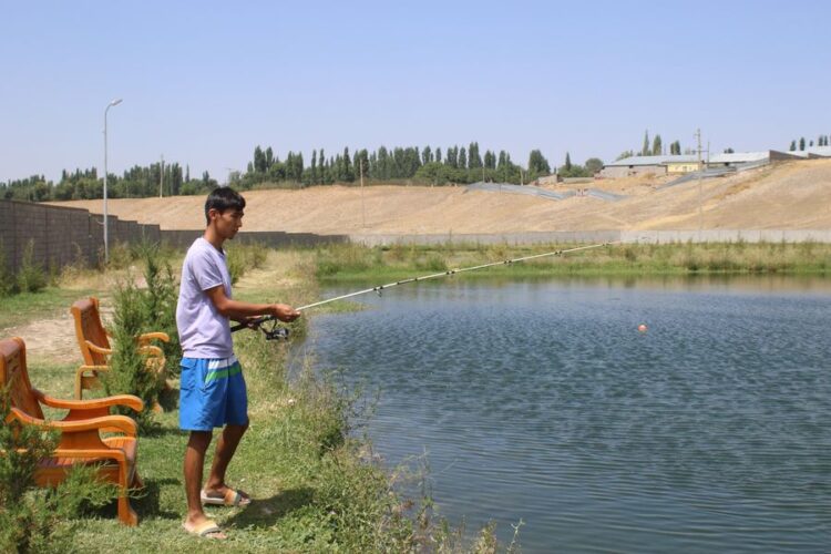 БАЛЫҚ ШАРУАШЫЛЫҒЫН ДАМЫТУДА