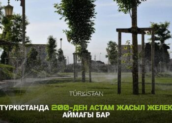 ТҮРКІСТАНДА 200-ДЕН АСТАМ ЖАСЫЛ ЖЕЛЕК АЙМАҒЫ БАР