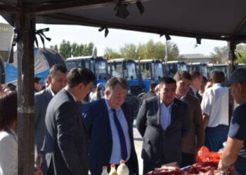 «АЛТЫН КҮЗ-2022»: ЕГІНІН ЖИНАП, МАЛ БАСЫН КӨБЕЙТКЕН ШАРУАЛАРДЫҢ ЕҢБЕГІ ЕЛЕНДІ