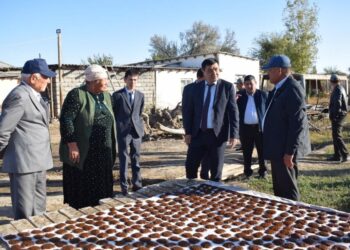 ТҮРКІСТАН: ОТЫРАРДА КӘСІП АШҚАНДАР ҚАТАРЫ АРТЫП КЕЛЕДІ